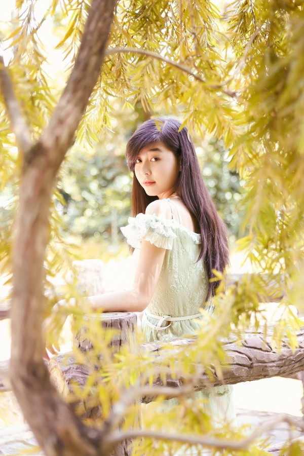 陈一龙电视剧全集